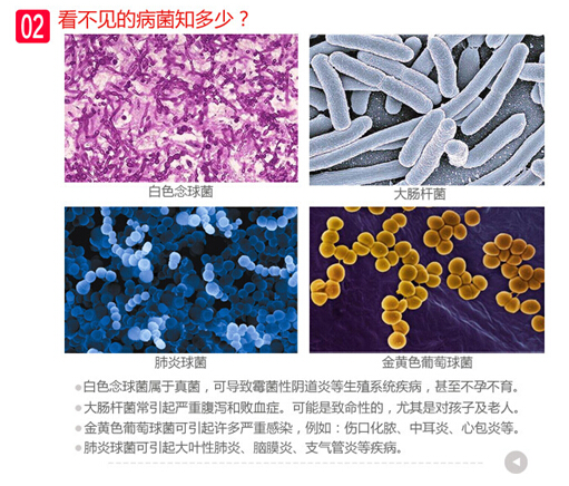 对冷却水系统影响较大的细菌有哪几类?