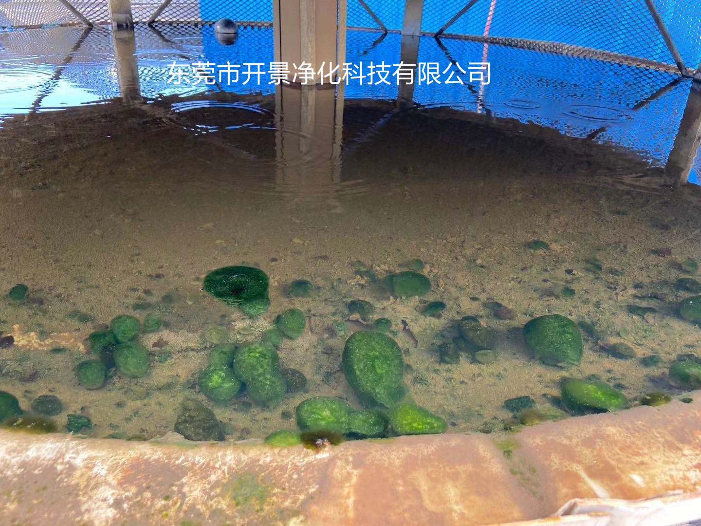 东莞市冷却塔清理青苔杀菌灭藻剂