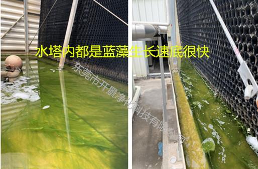 中央空调循环水系统清洗保养